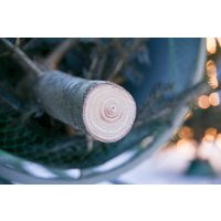 Ель HD Nordic Trees Фразера Датская Премиум (2-2.2 м, срезанная)