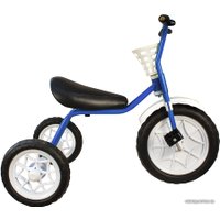 Детский велосипед Самокатыч Зубренок (голубой)