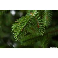 Ель GreenTerra Аляска (светлая) 2.2 м