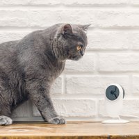 IP-камера Xiaomi MiJia 1080p SXJ01ZM