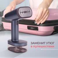 Отпариватель Evolution Handy 1 (серый)