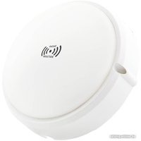 Уличный настенный светильник Glanzen RPD-0013-15