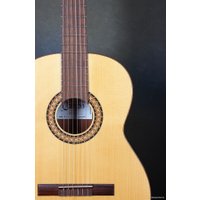 Акустическая гитара Camps M-1-S