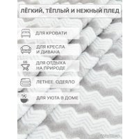 Плед Tex Republic Absolute Зигзаг двухцветный Flannel 200x220 92574 (серый)