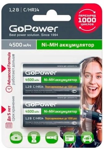 Аккумулятор GoPower 00-00018322