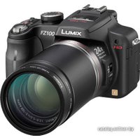 Фотоаппарат Panasonic Lumix DMC-FZ100