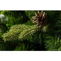 Сосна GreenTerra Рапсодия зеленая 2.2 м