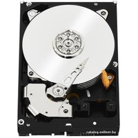 Жесткий диск WD RE 1TB (WD1003FBYZ)