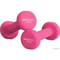 Набор гантелей Proiron Г2010РНЕО (2 шт)