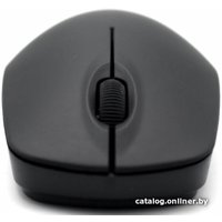 Мышь Ritmix RMW-506