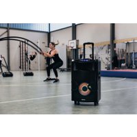 Патибокс Lenco PMX-250