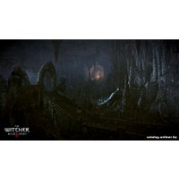 Компьютерная игра PC Ведьмак 3: Дикая Охота
