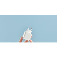 Сетевое зарядное Xiaomi Mi 33W Wall Charger AD332EU (международная версия)