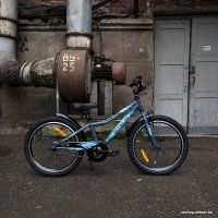 Детский велосипед Stels Pilot 210 20 Z010 2024 (серый)
