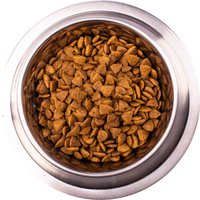 Сухой корм для собак Monge Vet Solution Diabetic 12 кг