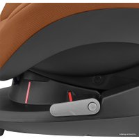 Детское автокресло Maxi-Cosi Tobi 2020 (authentic cognac)