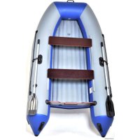 Моторная лодка Reef 300НД