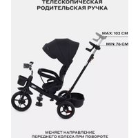 Детский велосипед Rant Basic Ghost RB250 (черный)