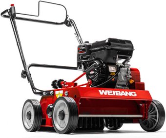 Скарификатор Weibang WB 486CRB