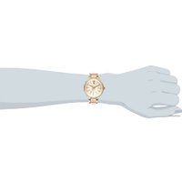 Наручные часы Anne Klein 1412BMGB