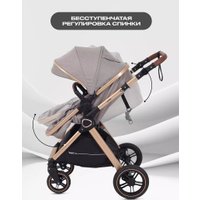 Универсальная коляска Rant Basic Roller Gold RA161 (2 в 1, beige)