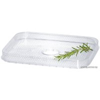 Сушилка для овощей и фруктов Steba ED 5