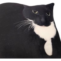 Декоративная подушка Мальвина Максвелл Кот Мем 9.438.1 в Витебске