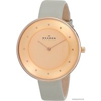Наручные часы Skagen SKW2139