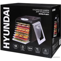 Сушилка для овощей и фруктов Hyundai HYFD-1802