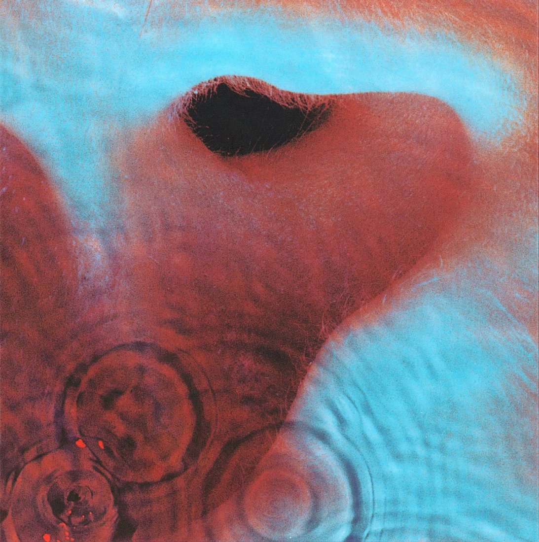 

Виниловая пластинка Pink Floyd - Meddle