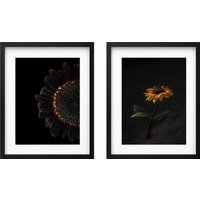 Постер Ikea Rodalm 50583547