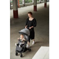 Коляска прогулочная «книга» Anex Air-x 2022 (gray)