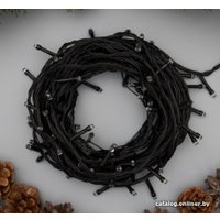 Светодиодная гирлянда Luazon Нить 3556787