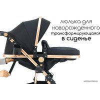 Универсальная коляска Lorelli Alba Classic (2 в 1, черный)