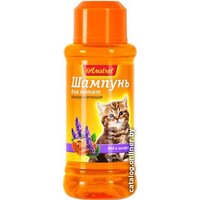 Шампунь Amstrel для котят кондиционирующий с медом и шалфеем 120 мл