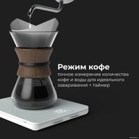 Кухонные весы AENO KS1S