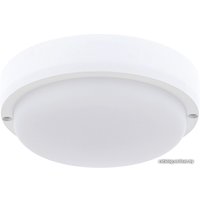 Уличный накладной светильник Rexant 607-207