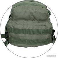 Туристический рюкзак SPLAV Baselard 5026096 (олива)