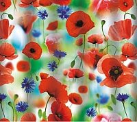 

Шторка-занавеска для ванны V-line 1576-1