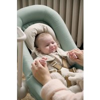 Шезлонг Beaba Lichen Transat Up & Down + Eu Lichen 915049