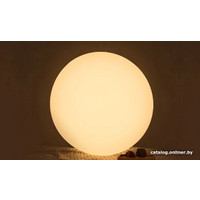 Светильник-тарелка Yeelight Ceiling Light A2001C450 YLXD032