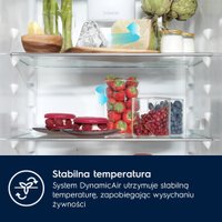 Холодильник Electrolux E7TNGE18S в Борисове