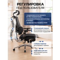 Офисное кресло Evolution LumbarPro Elite Black (черный)