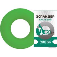 Эспандер Fortius H180701-20LG (20 кг, зеленый)