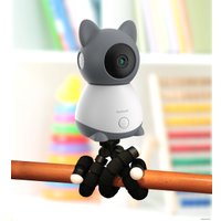 Дополнительная камера Ramicom VRC300CTR