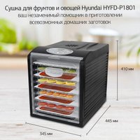 Сушилка для овощей и фруктов Hyundai HYFD-P1801
