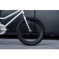 Детский велосипед Lenjoy Sports Silver Ghost 16 LS16-13S (серый)