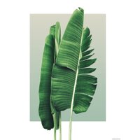 Картина Vimala 128 50x70 см