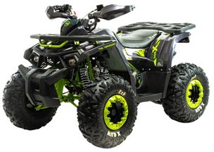 

Квадроцикл Motoland Wild X 125cc (зеленый)