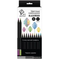 Набор цветных карандашей АртФормат AF03-051-12